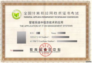 计算机应用技术专业自考学习指南 掌握核心技能，开启职业发展的新篇章